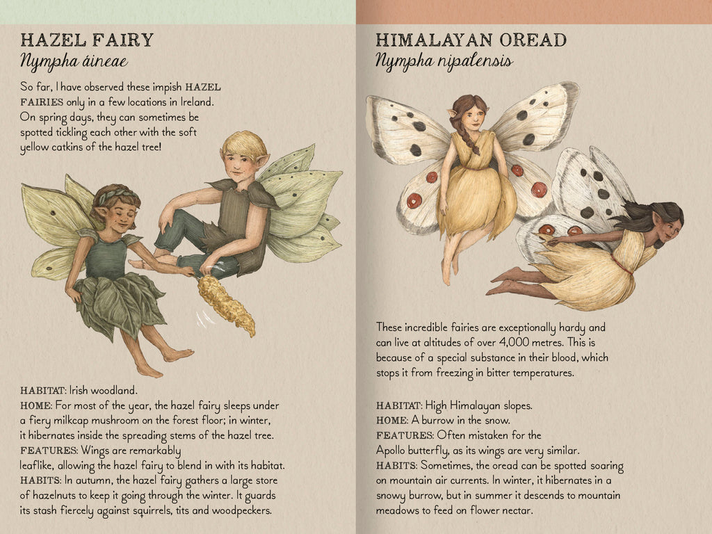 Flower Fairies Matching Game