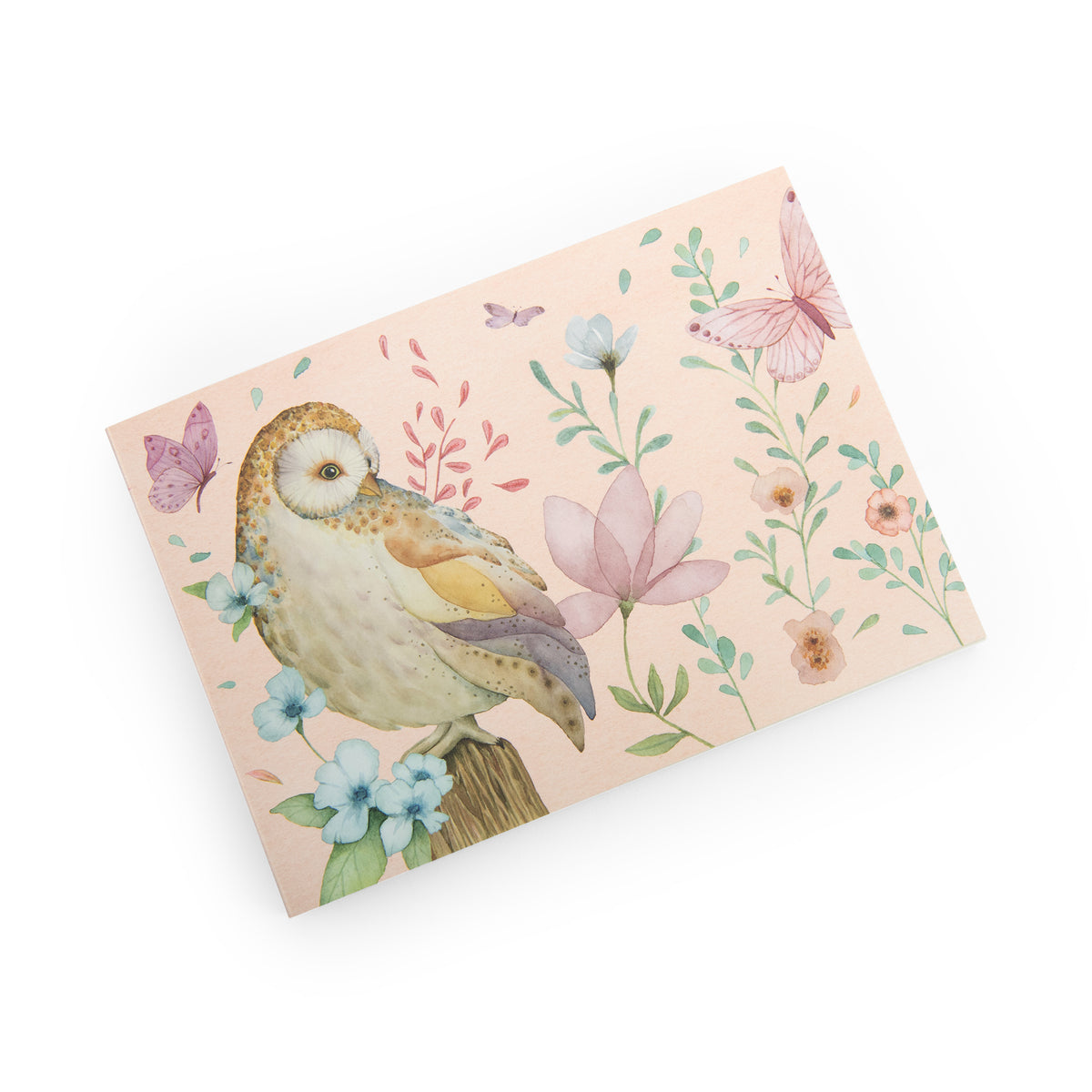 Drawing book: Les Rosalies